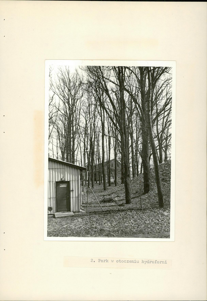 Ewidencja parkowa, skan nr 16