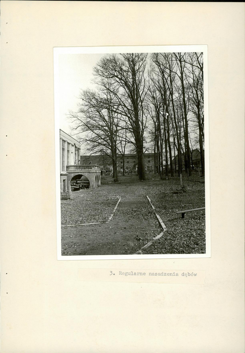 Ewidencja parkowa, skan nr 17