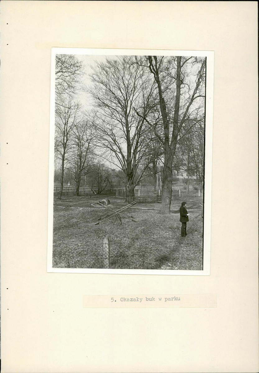 Ewidencja parkowa, skan nr 19