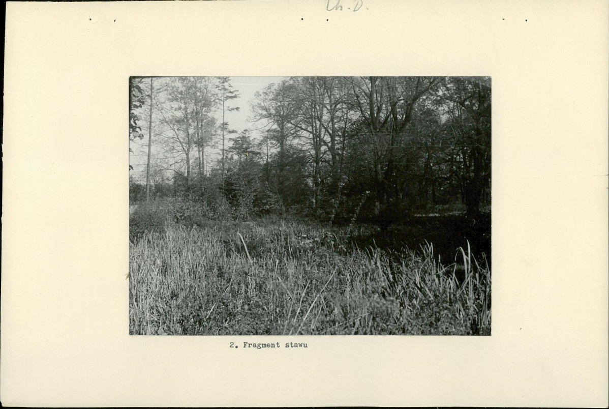 Ewidencja parkowa, skan nr 17