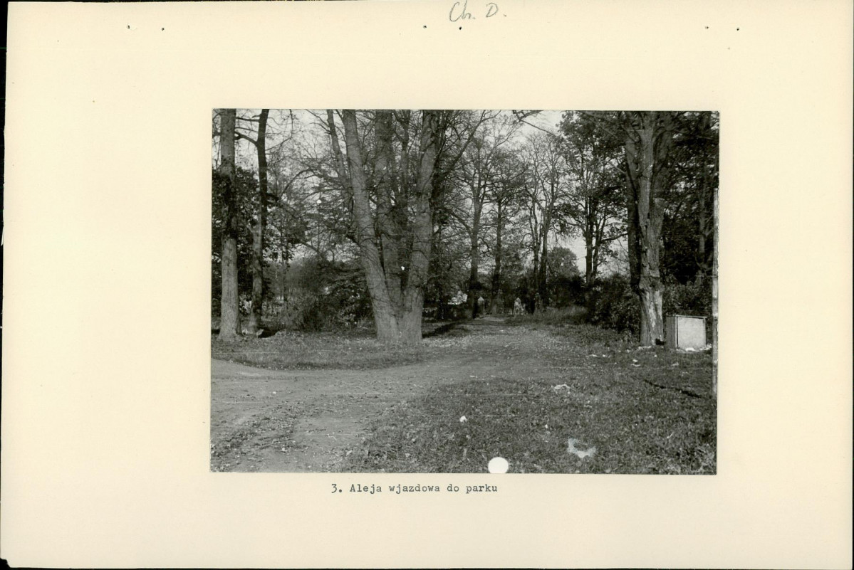 Ewidencja parkowa, skan nr 18