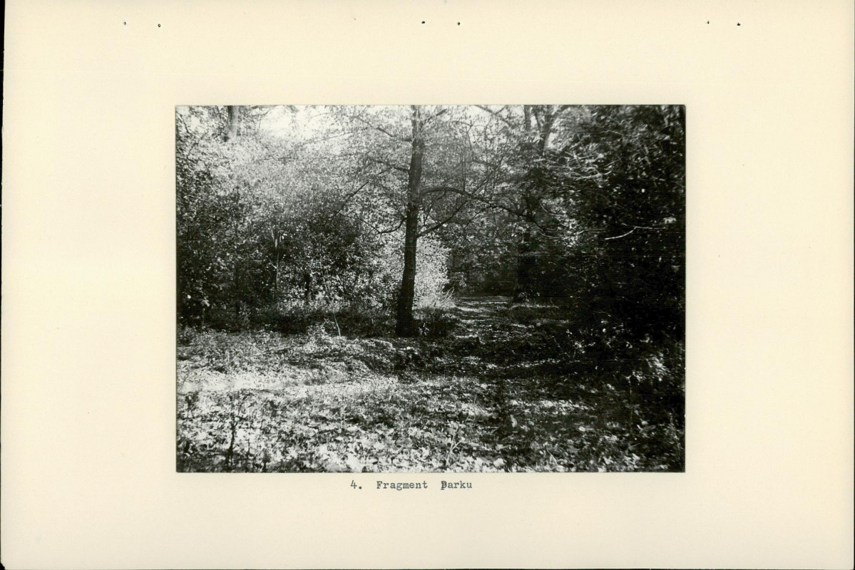 Ewidencja parkowa, skan nr 19