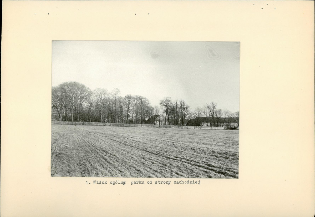 Ewidencja parkowa, skan nr 13