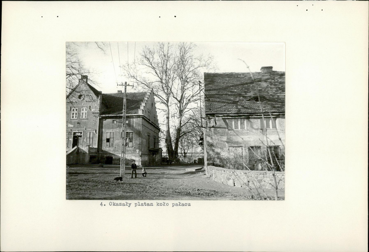 Ewidencja parkowa, skan nr 16