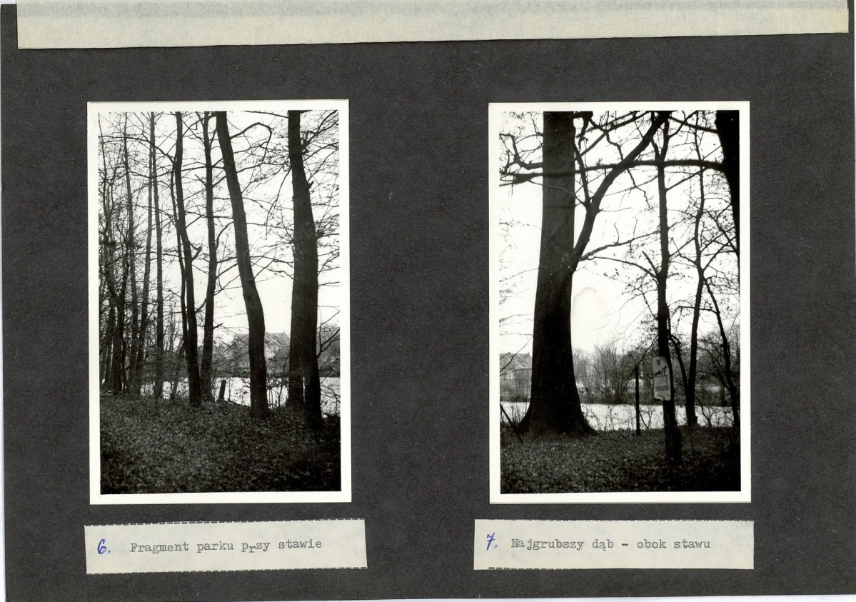 Ewidencja parkowa, skan nr 23