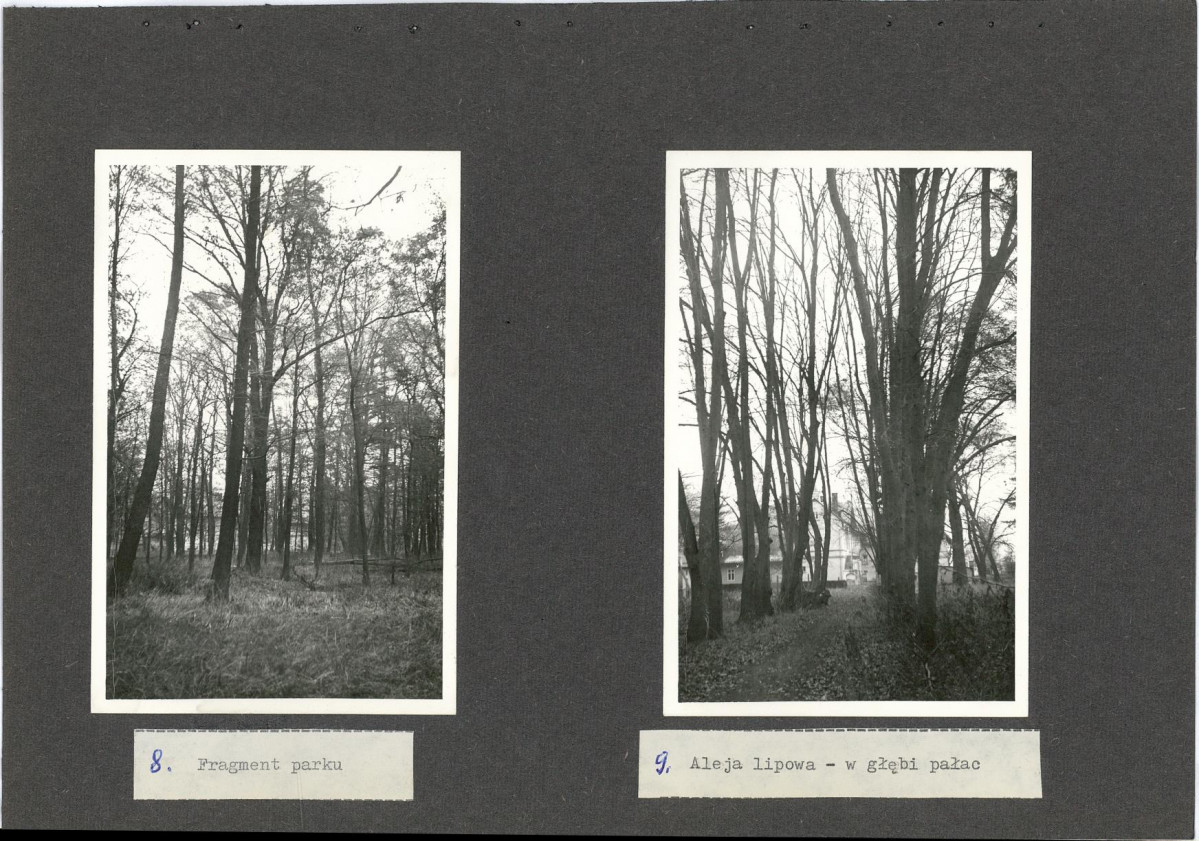 Ewidencja parkowa, skan nr 24