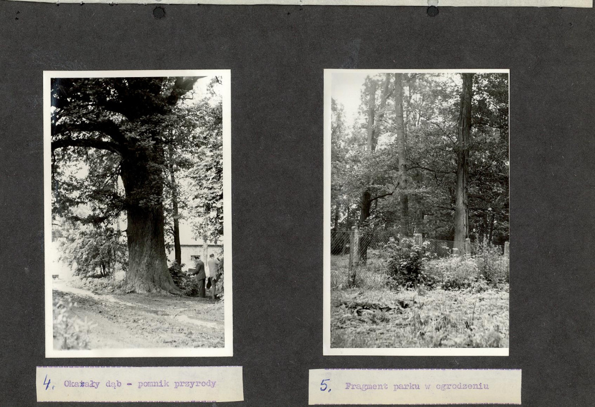 Ewidencja parkowa, skan nr 20