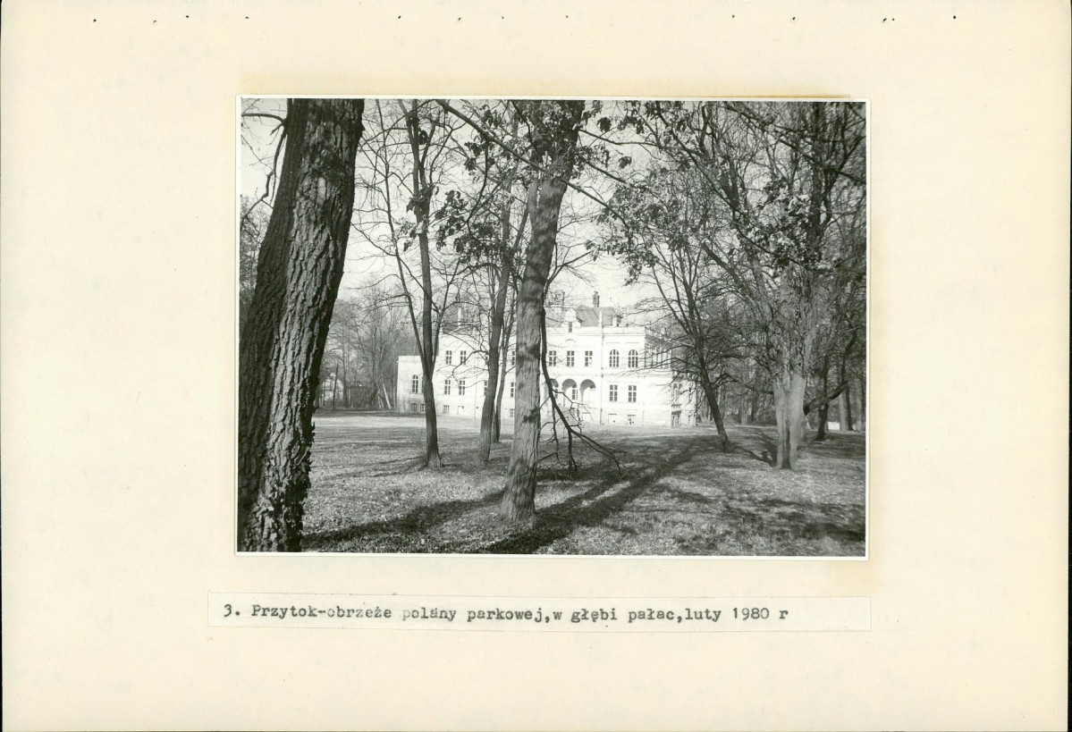 Ewidencja parkowa, skan nr 24