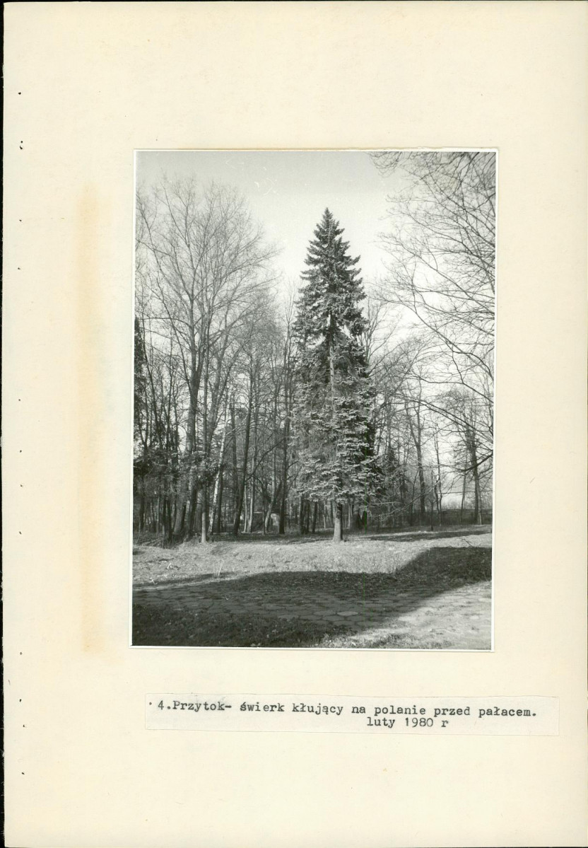 Ewidencja parkowa, skan nr 25