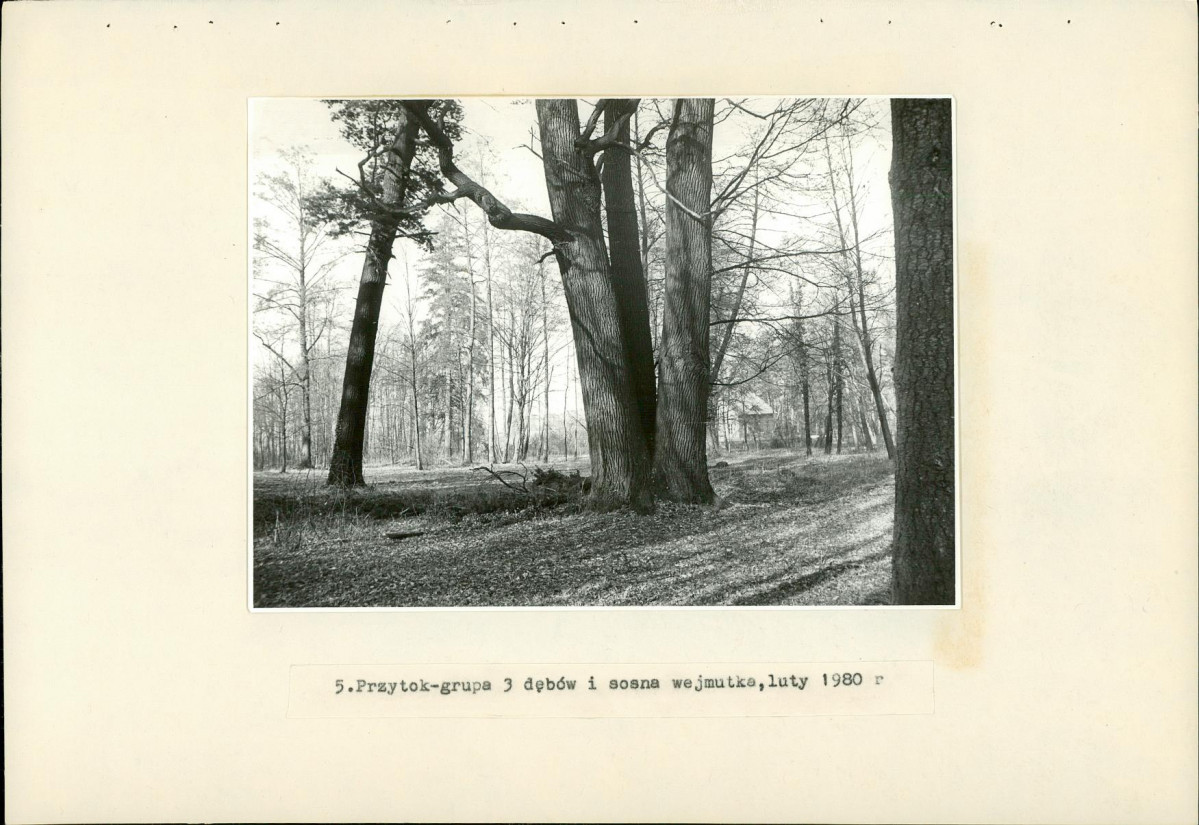 Ewidencja parkowa, skan nr 26