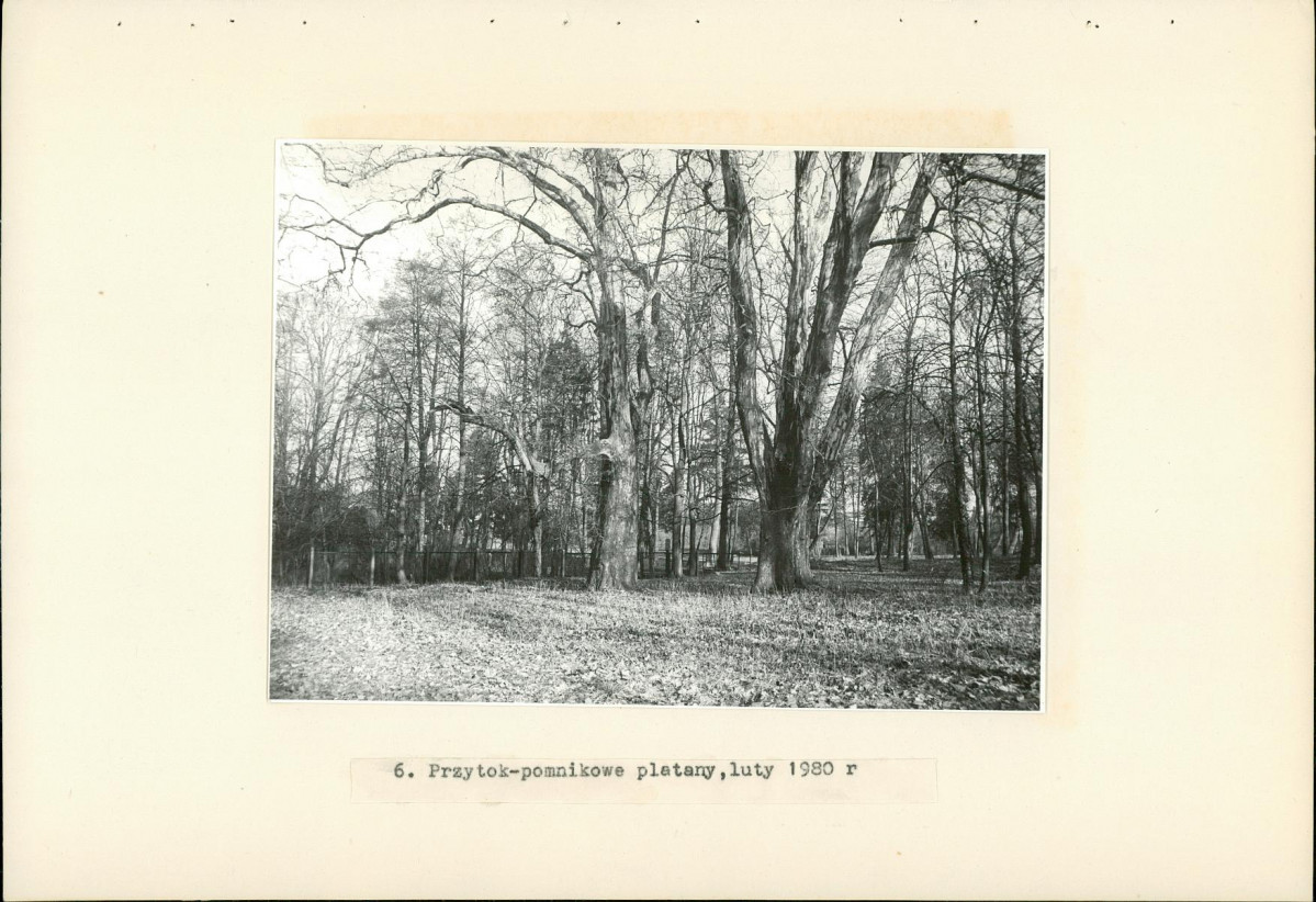 Ewidencja parkowa, skan nr 27