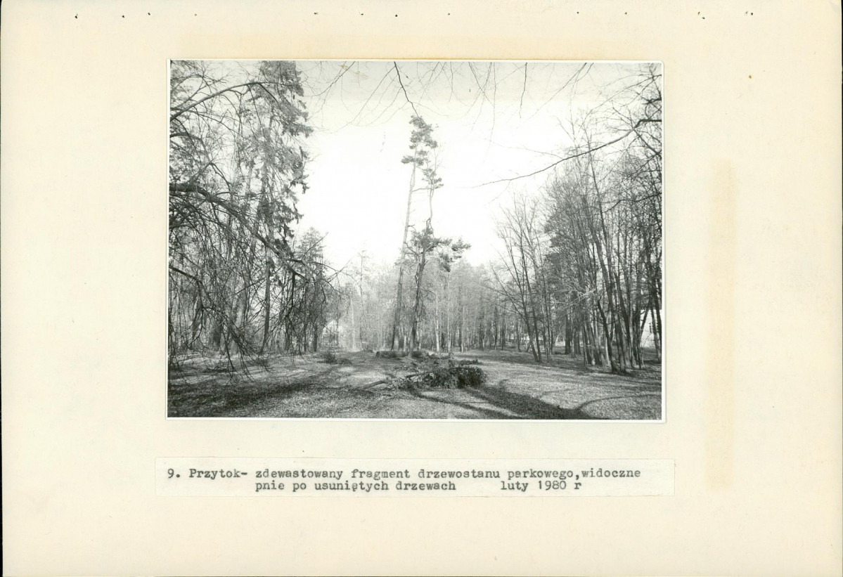 Ewidencja parkowa, skan nr 30