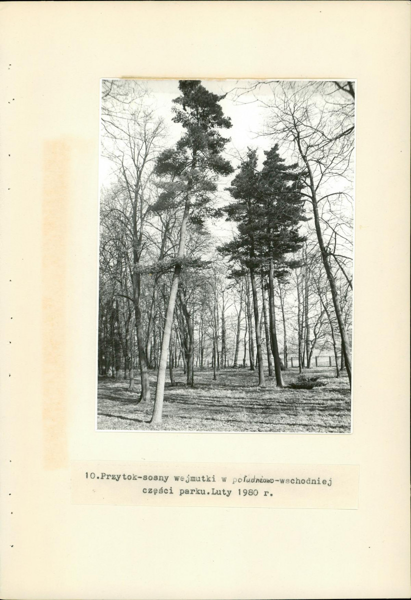 Ewidencja parkowa, skan nr 31