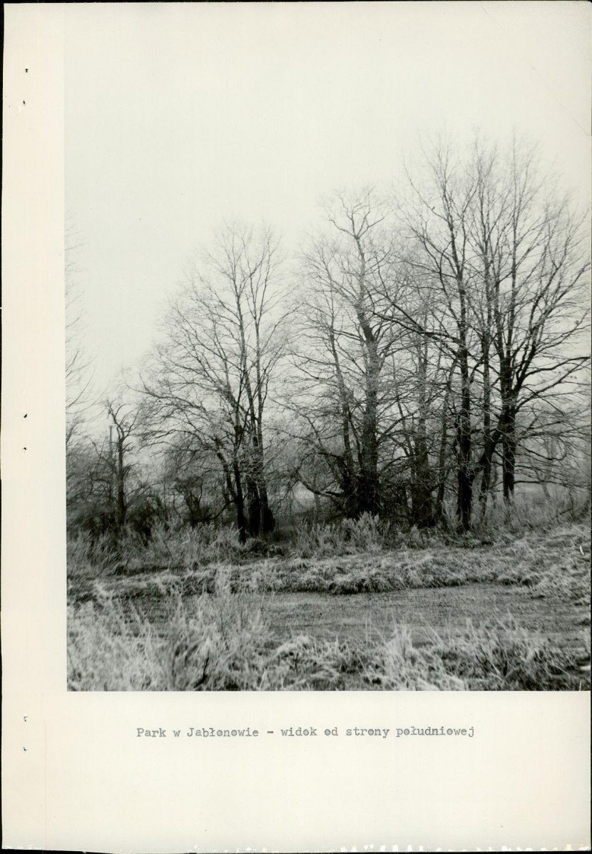 Ewidencja parkowa, skan nr 29