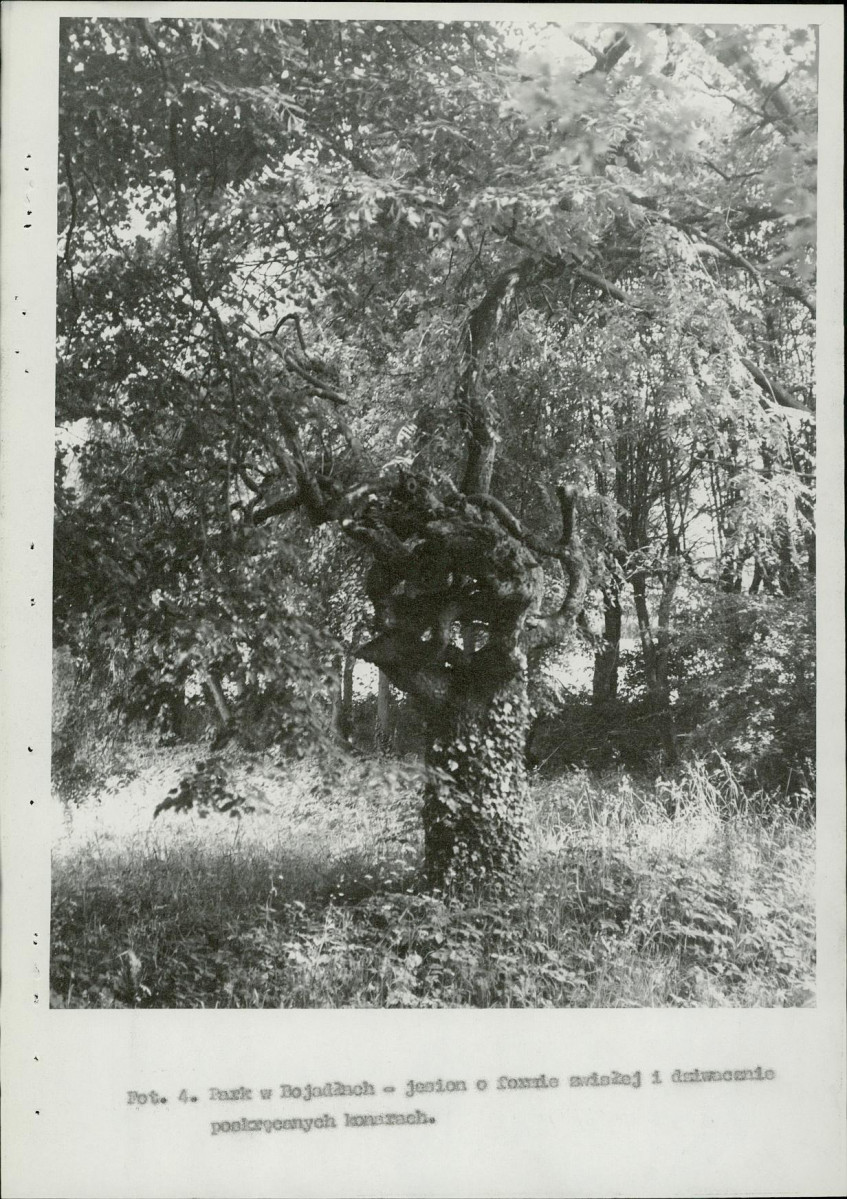 Ewidencja parkowa, skan nr 20