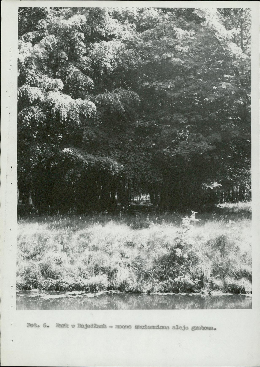 Ewidencja parkowa, skan nr 22