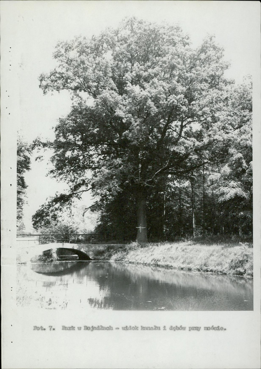 Ewidencja parkowa, skan nr 23