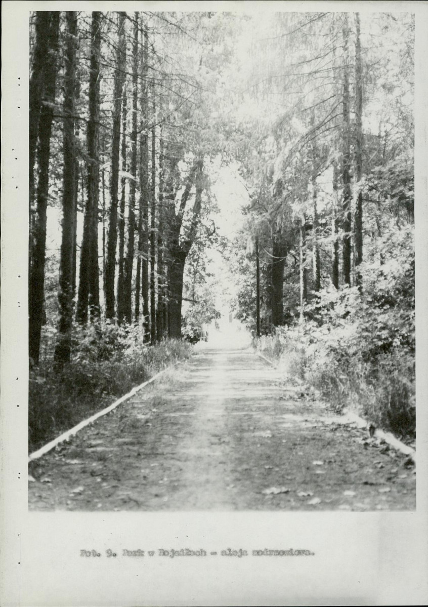 Ewidencja parkowa, skan nr 25