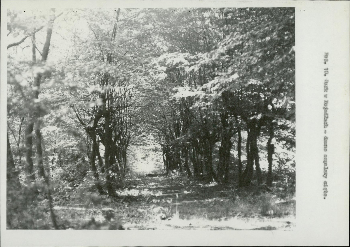 Ewidencja parkowa, skan nr 26