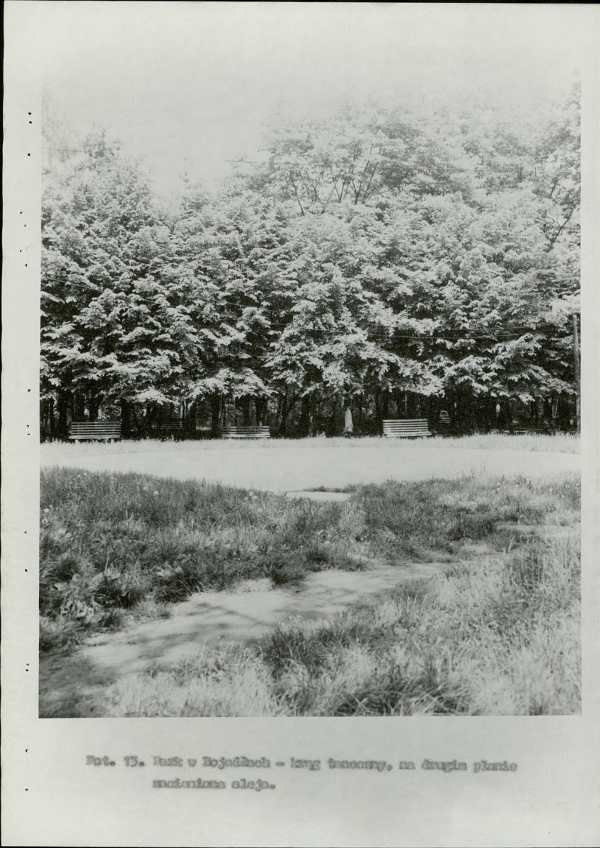 Ewidencja parkowa, skan nr 29
