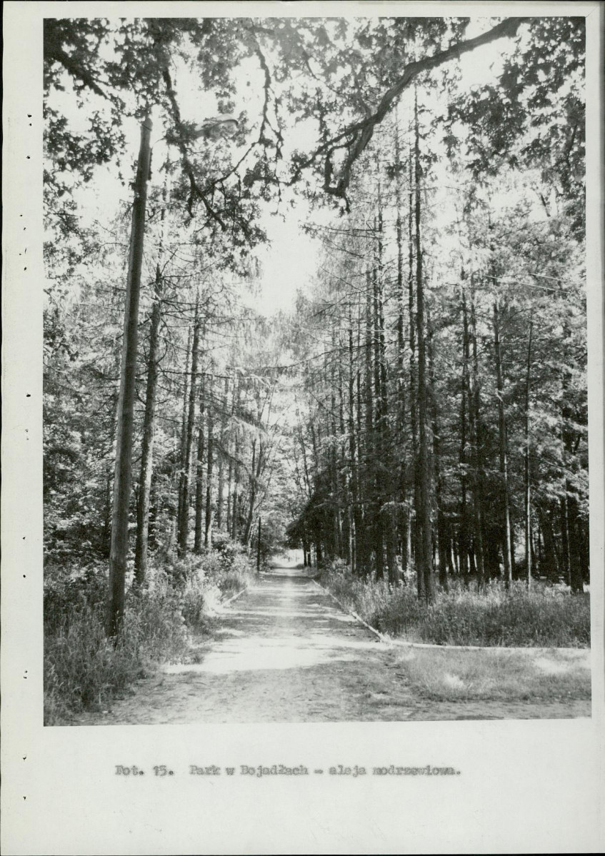 Ewidencja parkowa, skan nr 31