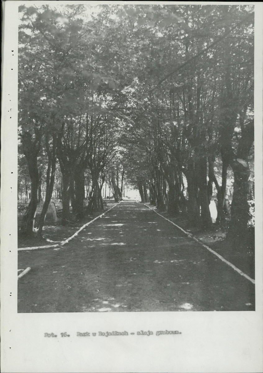 Ewidencja parkowa, skan nr 32