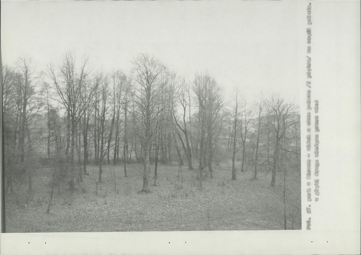 Ewidencja parkowa, skan nr 32