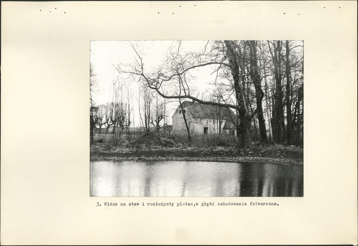Ewidencja parkowa, skan nr 17