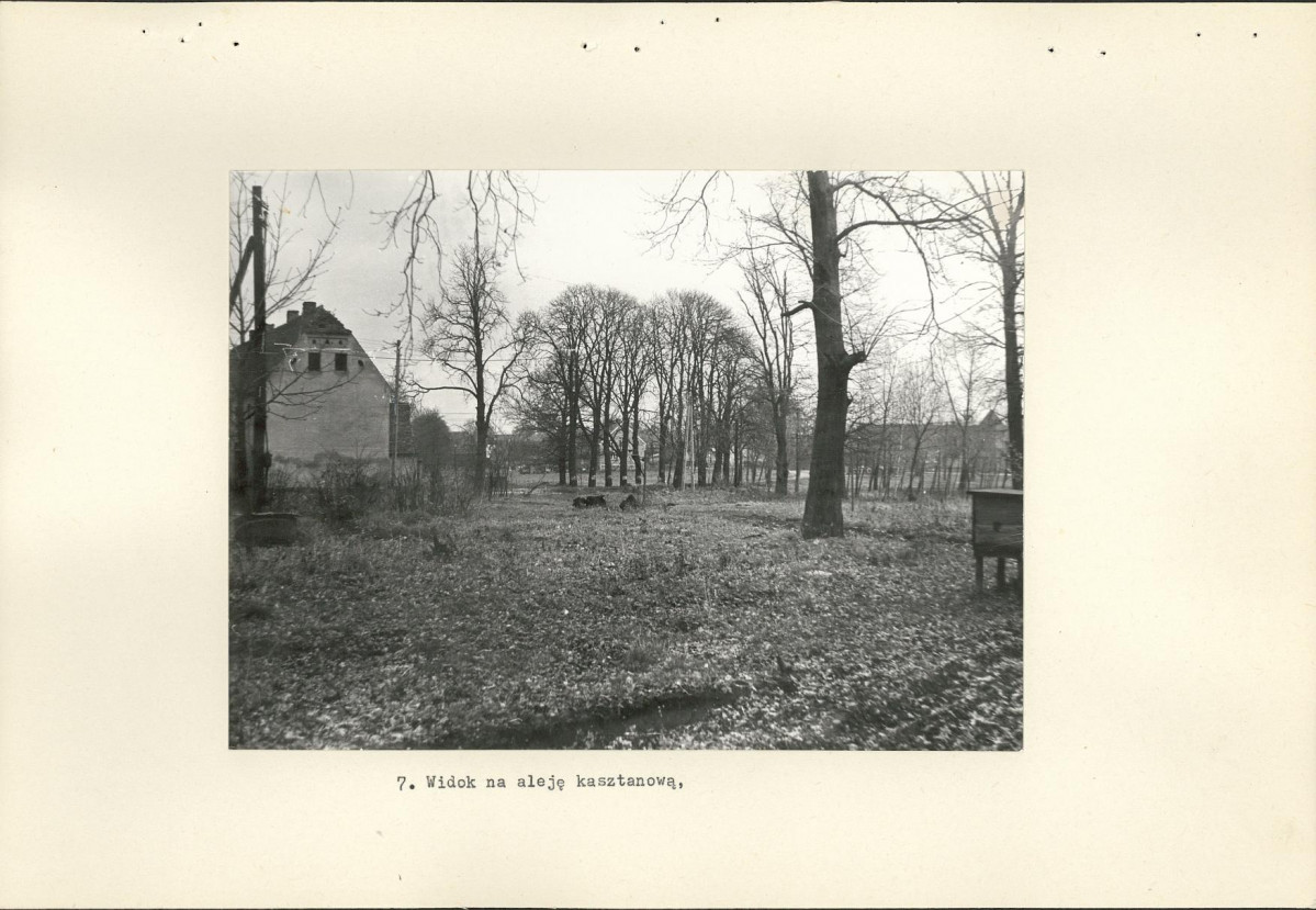 Ewidencja parkowa, skan nr 21