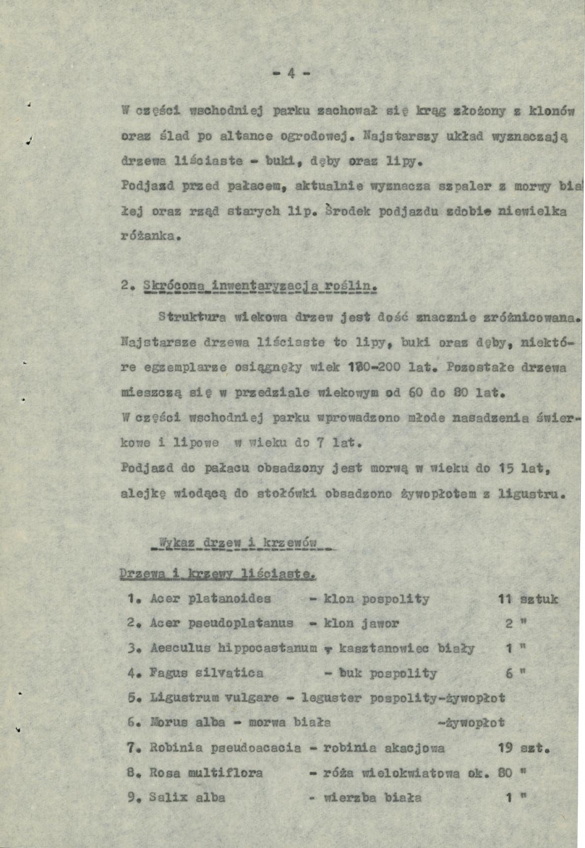 Ewidencja parkowa, skan nr 10
