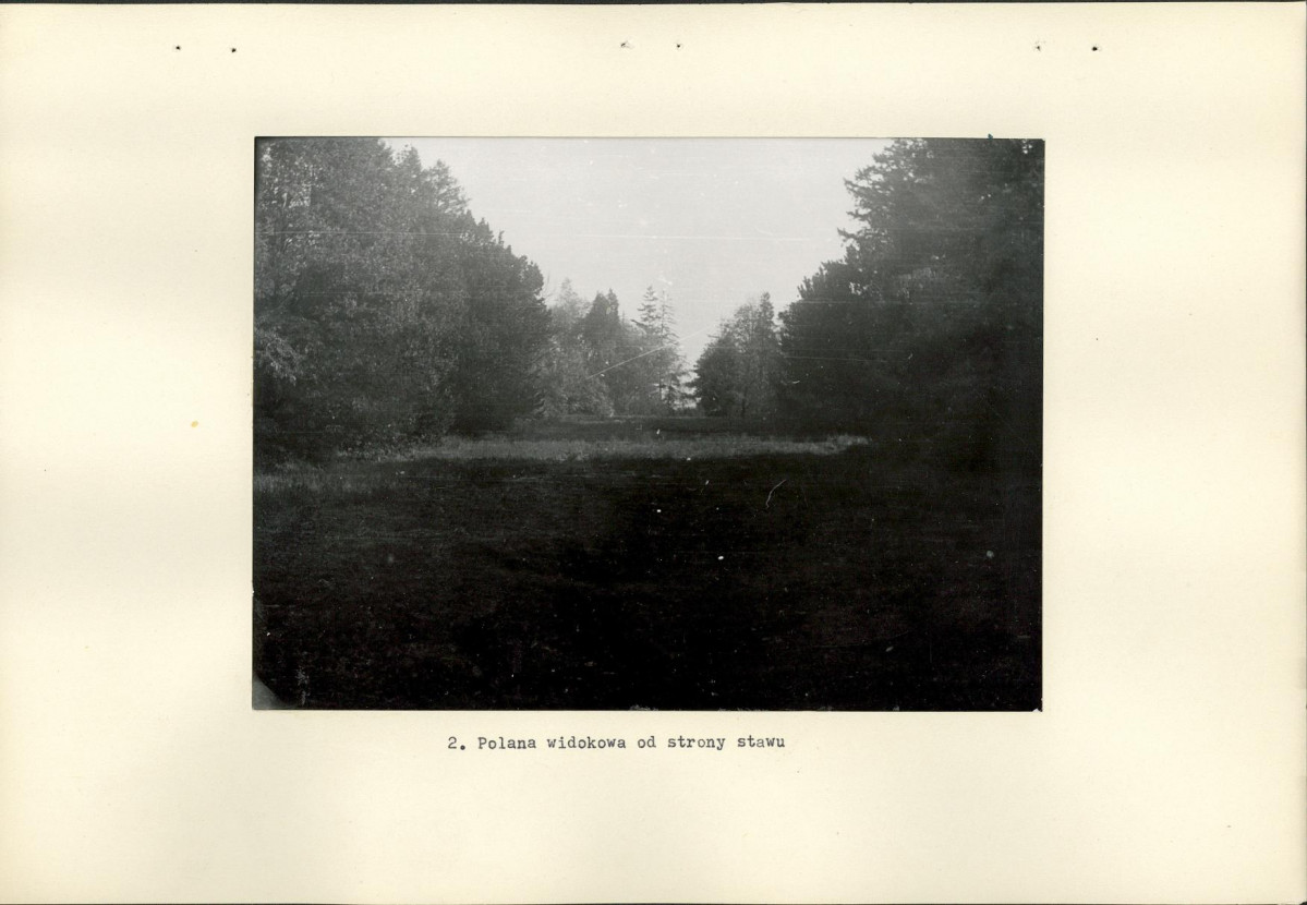 Ewidencja parkowa, skan nr 16
