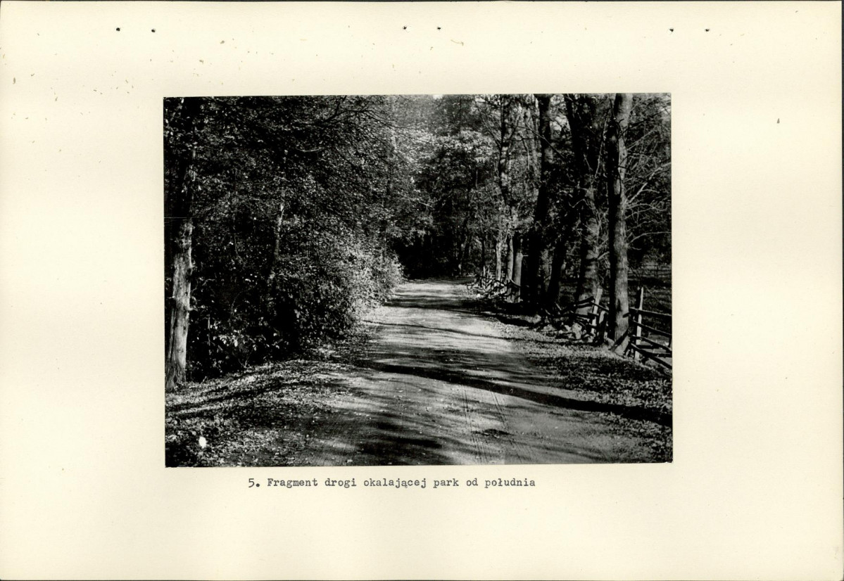 Ewidencja parkowa, skan nr 19