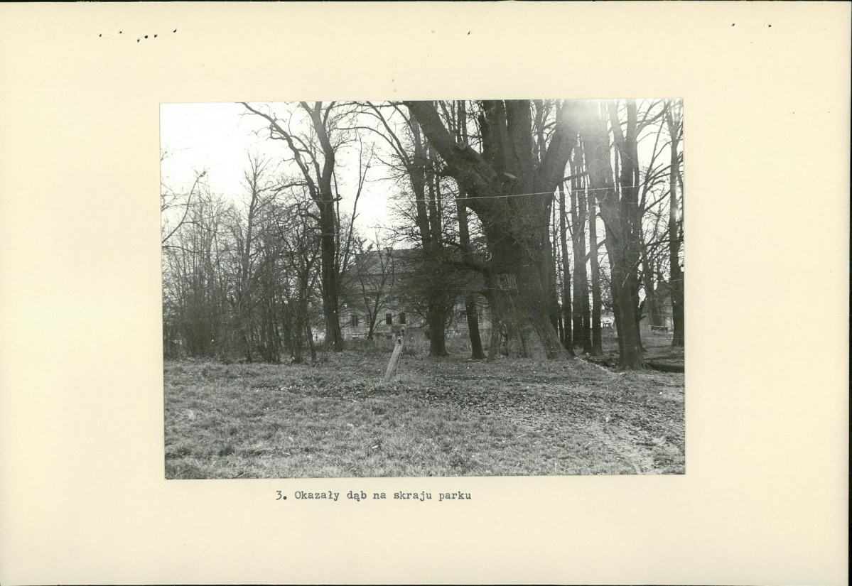 Ewidencja parkowa, skan nr 16