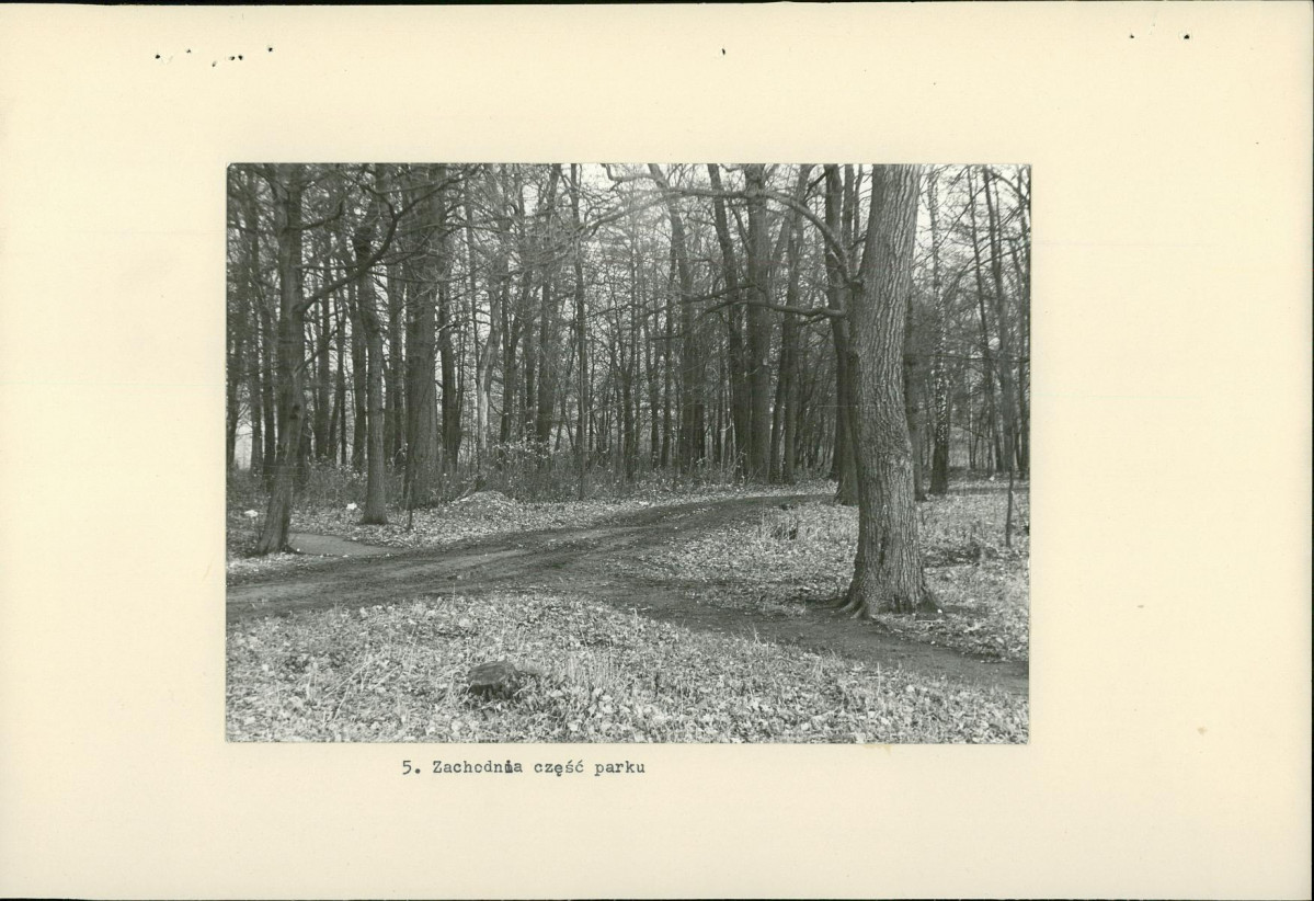 Ewidencja parkowa, skan nr 18