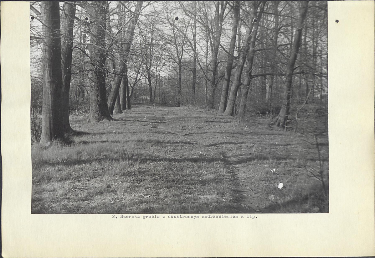 Ewidencja parkowa, skan nr 15