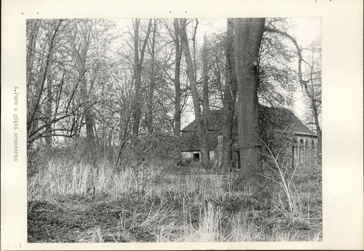 Ewidencja parkowa, skan nr 18