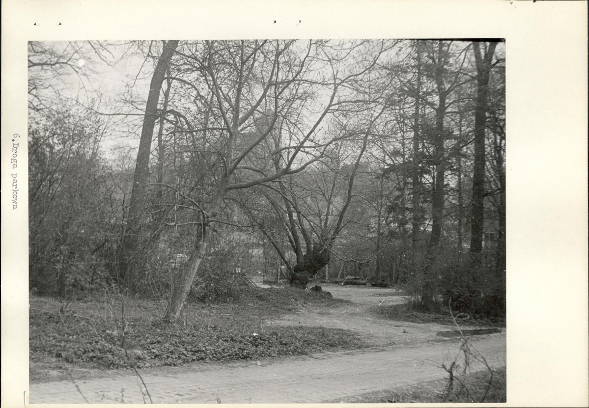 Ewidencja parkowa, skan nr 20