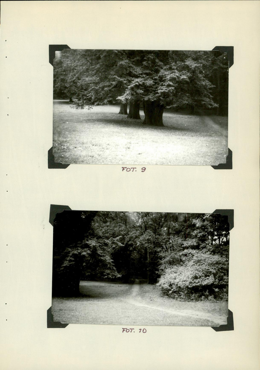 Ewidencja parkowa, skan nr 38