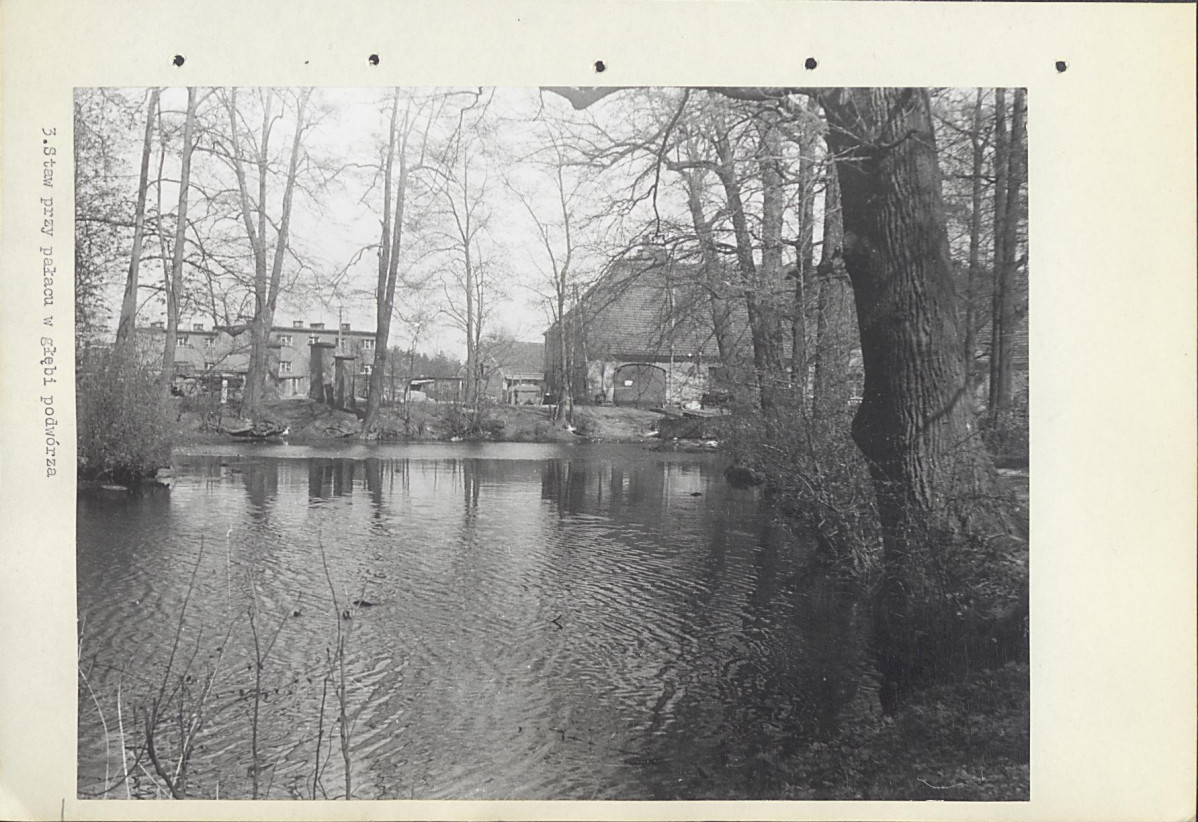 Ewidencja parkowa, skan nr 16