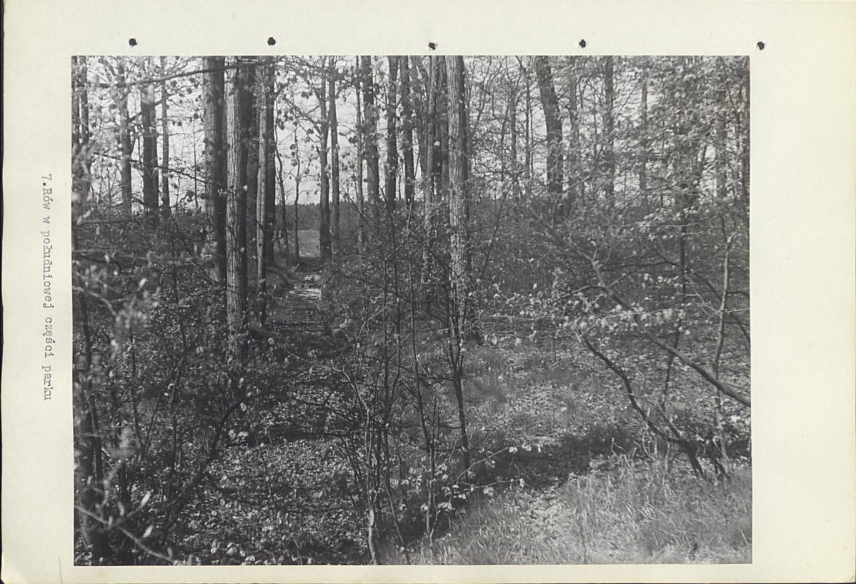 Ewidencja parkowa, skan nr 20