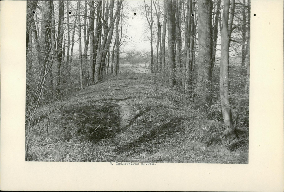 Ewidencja parkowa, skan nr 16