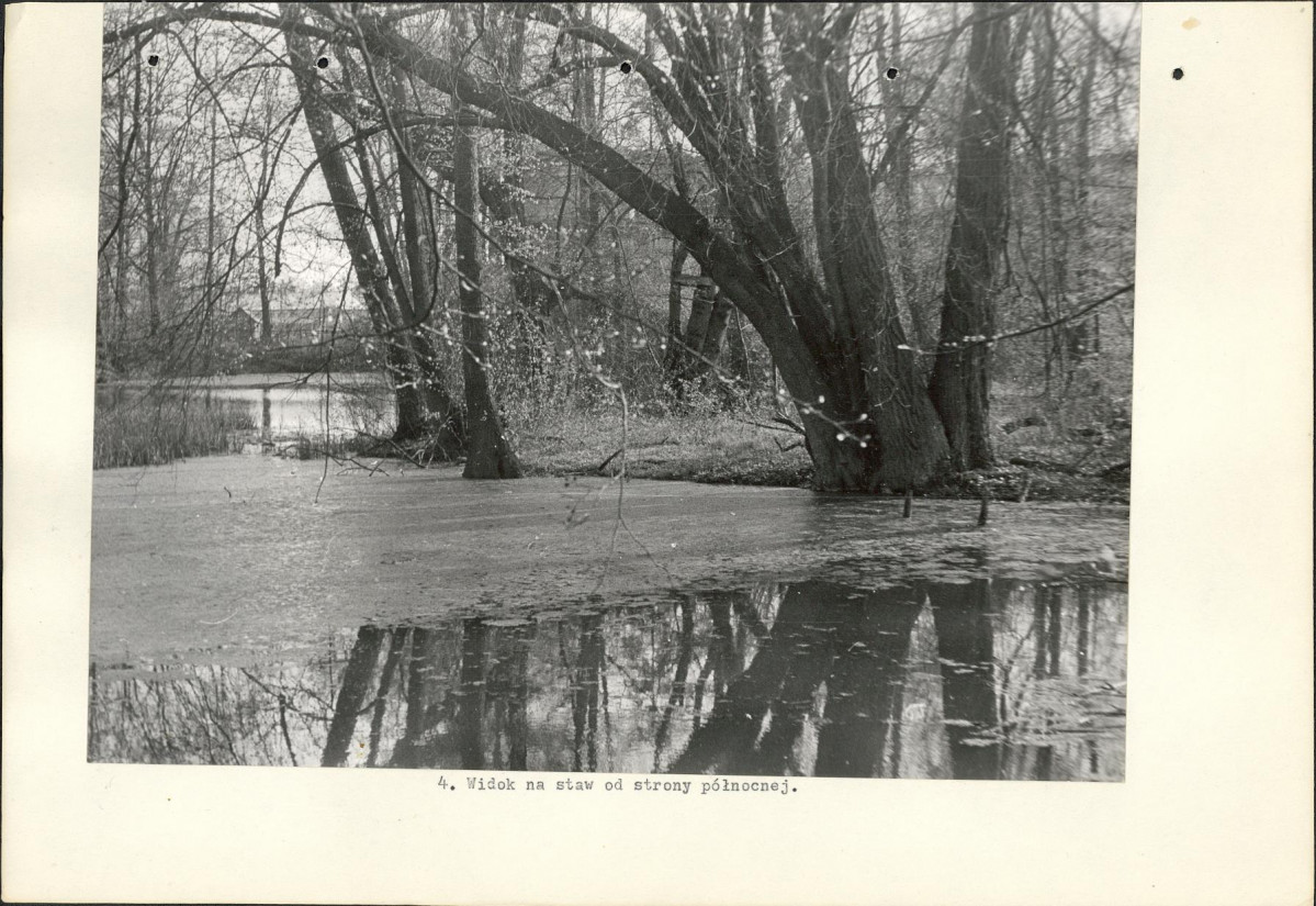 Ewidencja parkowa, skan nr 17