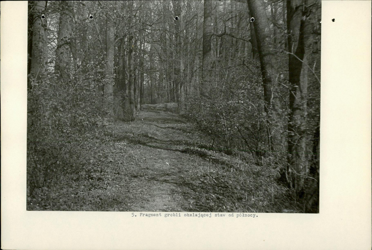 Ewidencja parkowa, skan nr 18