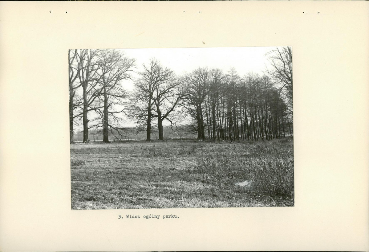 Ewidencja parkowa, skan nr 16