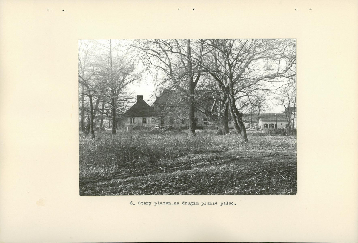 Ewidencja parkowa, skan nr 19