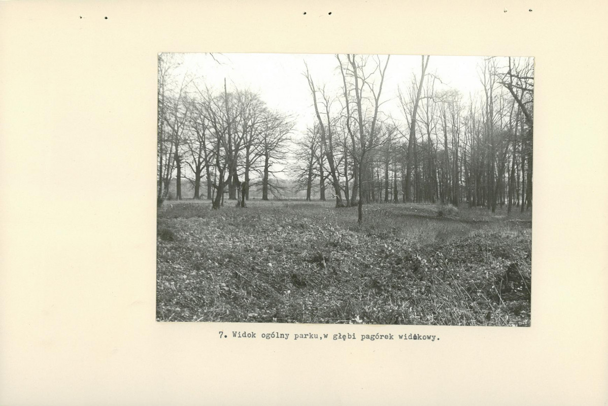 Ewidencja parkowa, skan nr 20