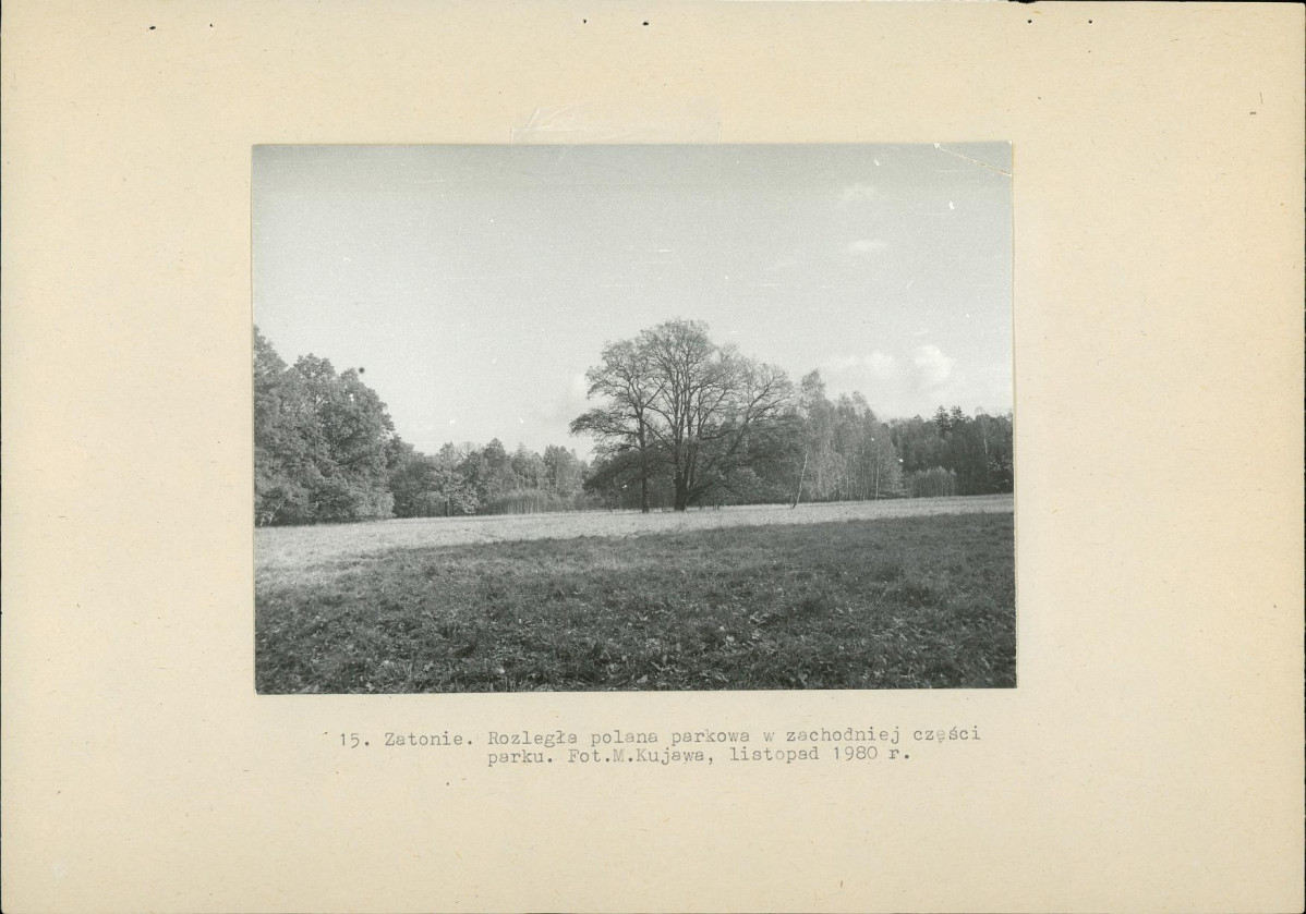 Ewidencja parkowa, skan nr 41