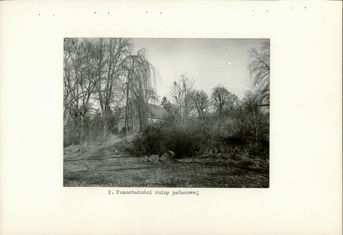 Ewidencja parkowa, skan nr 16