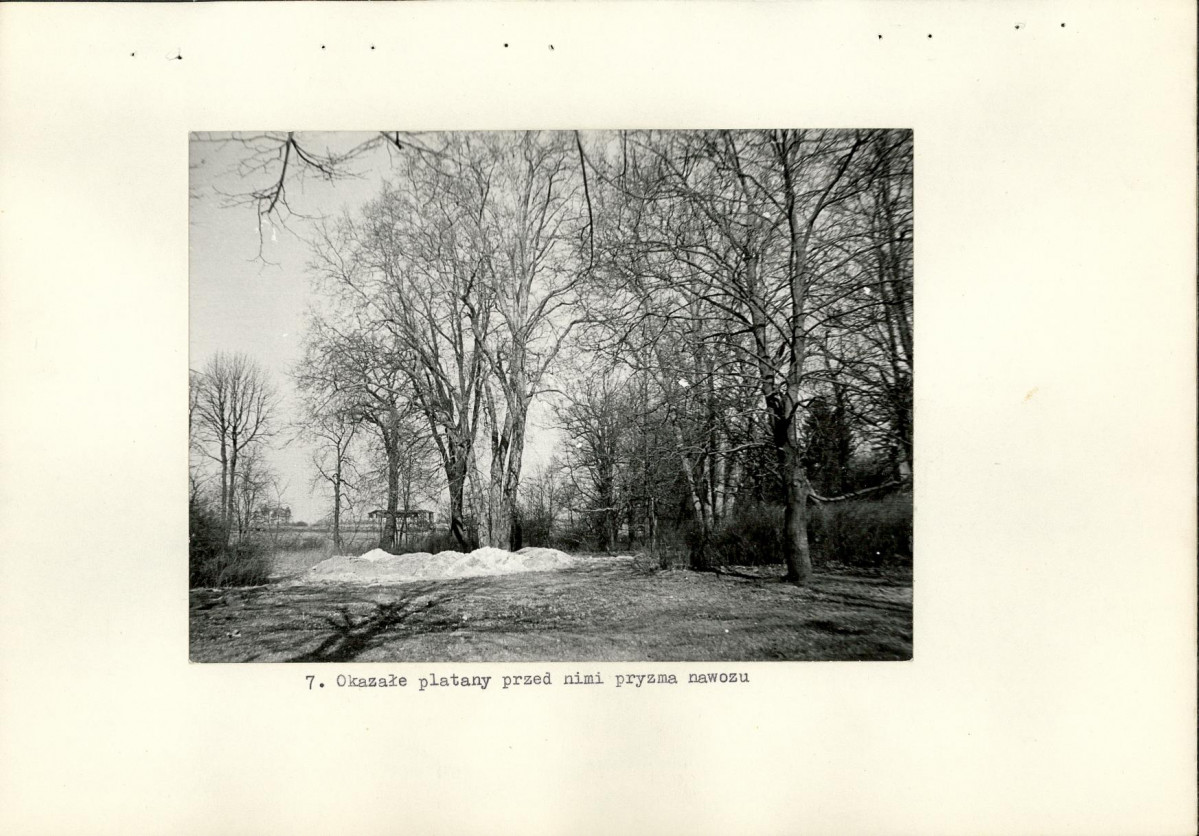 Ewidencja parkowa, skan nr 21