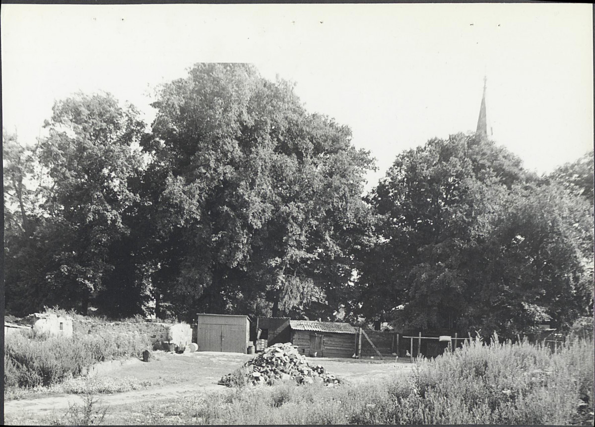 Ewidencja parkowa, skan nr 21